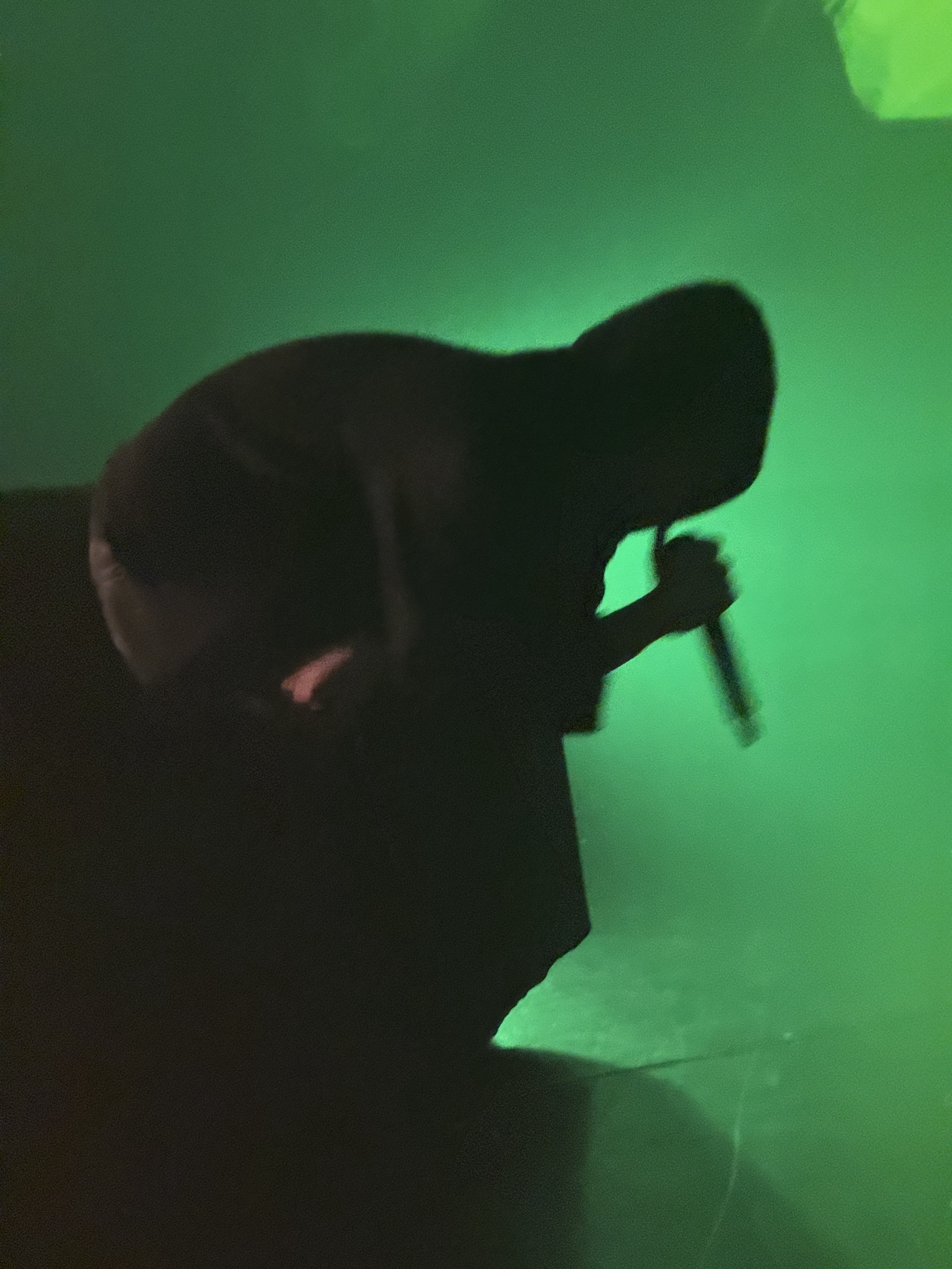 Mori Mori performing in green light